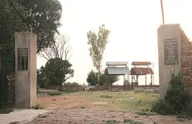 common cremation