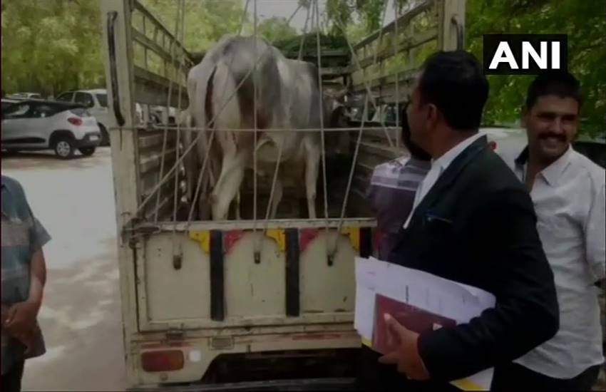 अदालत ने ओम प्रकाश नाम के व्यक्ति के हक में फैसला सुनाया। (फोटोः एएनआई) अदालत ने ओम प्रकाश नाम के व्यक्ति के हक में फैसला सुनाया। (फोटोः एएनआई)