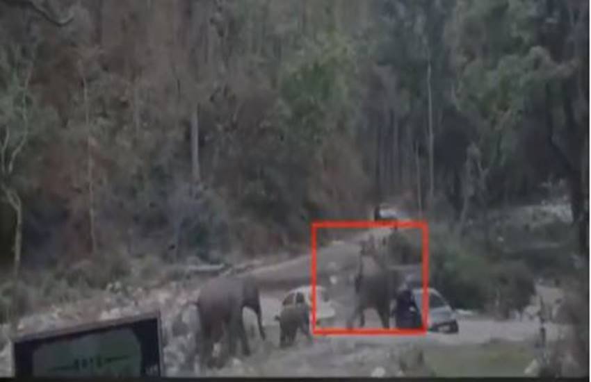 Elephants, Corbett Tiger Reserve, Ramnagar Corbett Reserve, social media, Bhakrakot, tourism, almora
