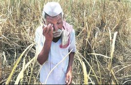 UP, Bundelkhand, cooperative bank loan, farmer loan, loan waiver, yogi government, auction properties, Chitrakoot, Banda, india news, Hindi news, news in Hindi, latest news, today news in Hindi