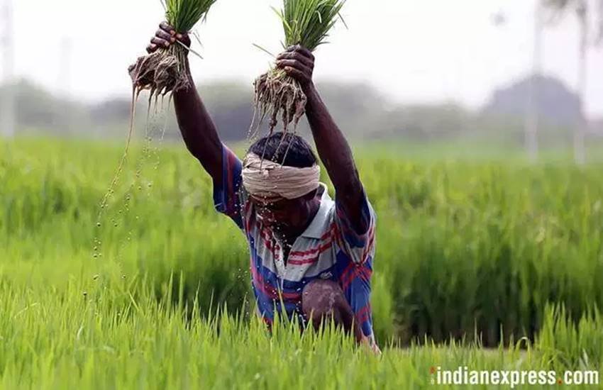 किसान की प्रतीकात्मक तस्वीर। (Express Photo)