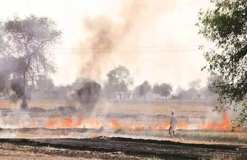 प्रतीकात्मक फोटो (फोटो सोर्स: इंडियन एक्सप्रेस) 