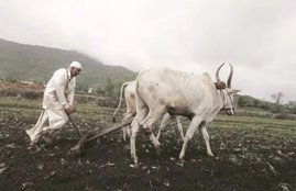 karnataka