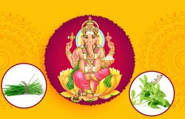 durva grass, why durva offered to ganesha, ganesh durva grass story, ganesh durva grass story in hindi,Why Is Durva Grass Dear To Ganesha, Stories of Lord Ganesha, Story behind the use of Durva Grass, significance of durva in Ganesh Poojan, lord ganesha, ganesha aarti, ganesh mantra, religion news