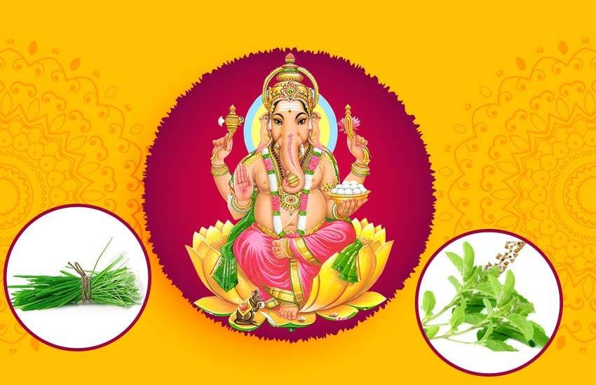 durva grass, why durva offered to ganesha, ganesh durva grass story, ganesh durva grass story in hindi,Why Is Durva Grass Dear To Ganesha, Stories of Lord Ganesha, Story behind the use of Durva Grass, significance of durva in Ganesh Poojan, lord ganesha, ganesha aarti, ganesh mantra, religion news