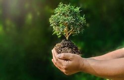 World Environment Day 2019 Quotes, Messages, Status, Wallpapers, and Pictures: इस विश्व पर्यावरण दिवस के मौके पर इन शानदार मैसेज, कोट्स के जरिए दें अपनों को बधाई