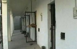 मध्य प्रदेश की नीमच जेल से फरार हुए 4 कैदी, पुलिस ने घोषित किया 50-50 हजार का इनाम