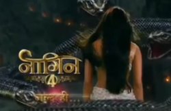 Naagin 3 के अंत से दर्शकों के मन में हैं ये 3 सवाल, चौथे सीजन में मिलेंगे सभी जवाब