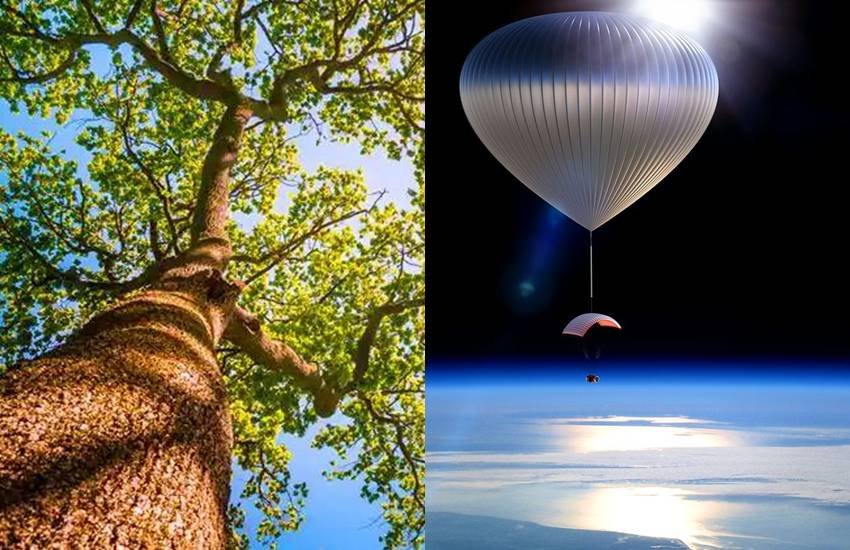 प्रतीकात्मक तस्वीर प्रतीकात्मक तस्वीर