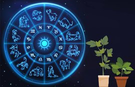 astrology, plants according to rashi, Aries zodiac, horoscope, Plants lucky for your Zodiac Sign, Astro Tips, astrology news, राशि अनुसार पेड़-पौधे, rashi ke anusar paudha, rashi ke anusar ped, rashi ke anusar kaun sa ped lagaen, religion news