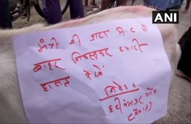 Chamki bukhar, Ram vilas paswan, shri Krishna Hospital, muzaffarpur, muzaffarpur dm, nitish kumar, jdu, rjd, bihar news