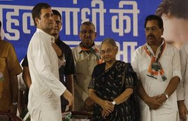 Congress Committee, rahul gandhi, sheila dikshit, congress state president, inc, bjp, loksabha