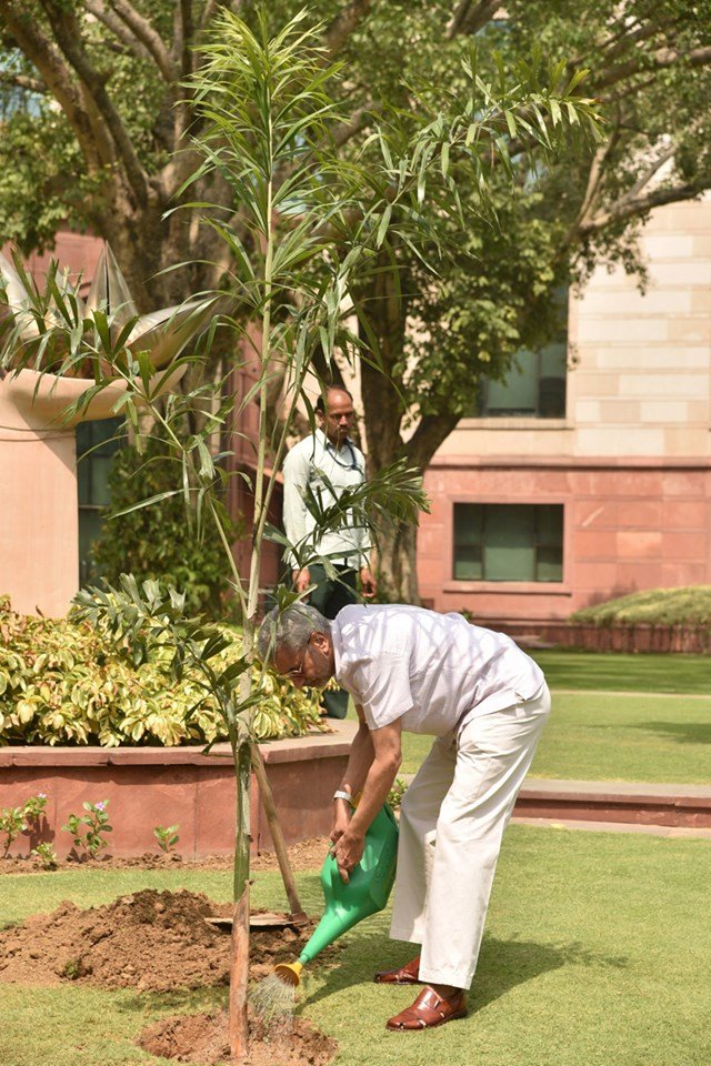 world environment day, world environment day theme, world environment day 2019 theme, world environment day 2019 slogans, world environment day theme and slogans, world environment day poster, world environment day quotes, happy world environment day, happy world environment day 2019, world environment day messages, world environment day wallpapers, world environment day pictures, world environment day, happy environment day status, happy environment day status, happy environment day hd images, S jaishankar, MoS V Muraleedharan