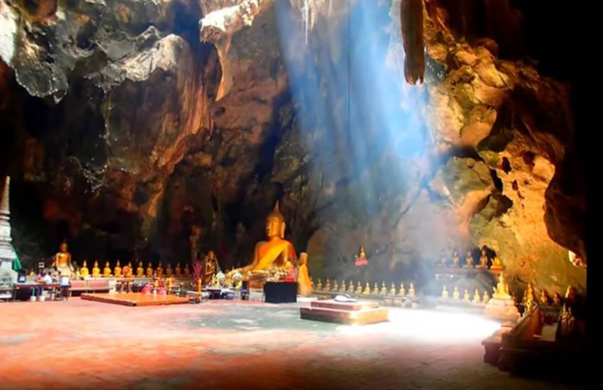 Vertebrates, Mammals, Animals, Wild boar, Selfie, Mountainside, New Jersey, Momentos, Australia, site manager, John McGowan, US Dollar, Cheong, coach, Thailand, Kraingkrai Kamsuwan, Mae Sai, diver, Sumalee, Kawee Prasomphol, Saman Gunan, SEAL diver, media