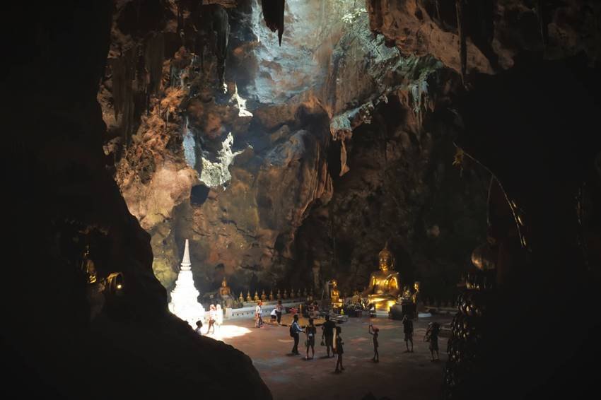 Vertebrates, Mammals, Animals, Wild boar, Selfie, Mountainside, New Jersey, Momentos, Australia, site manager, John McGowan, US Dollar, Cheong, coach, Thailand, Kraingkrai Kamsuwan, Mae Sai, diver, Sumalee, Kawee Prasomphol, Saman Gunan, SEAL diver, media