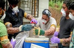 NIPAH VIRUS: भारत में फिर पैर पसार रहा खतरनाक निपाह वायरस, इन उपायों से खुद को रखें सेफ