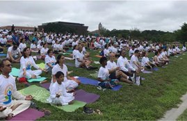 yoga day