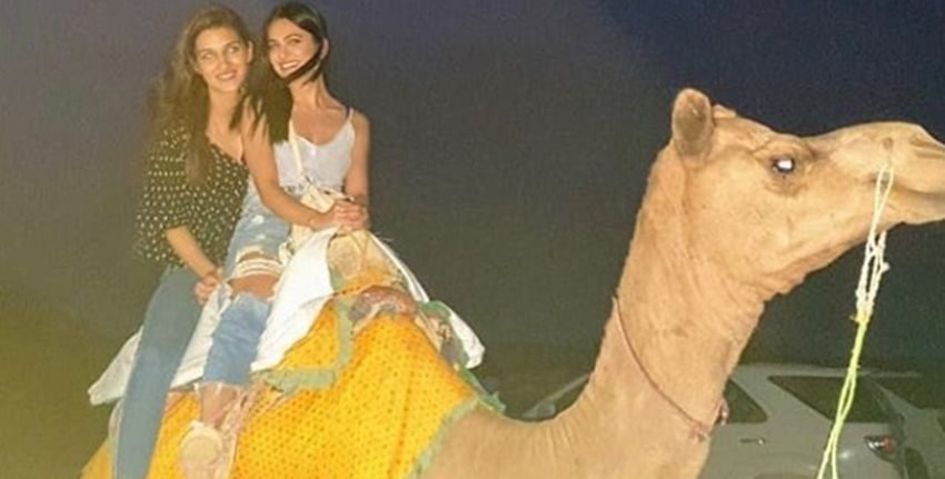 आपको बता दें कि कृति के लिए जैसे शब्दों का ये लोग इस्तेमाल कर रहे हैं वो बेहद अपमानजनक हैं। वैसे कृति इस तरह से ट्रोल करने वालों की कभी परवाह नहीं करती हैं