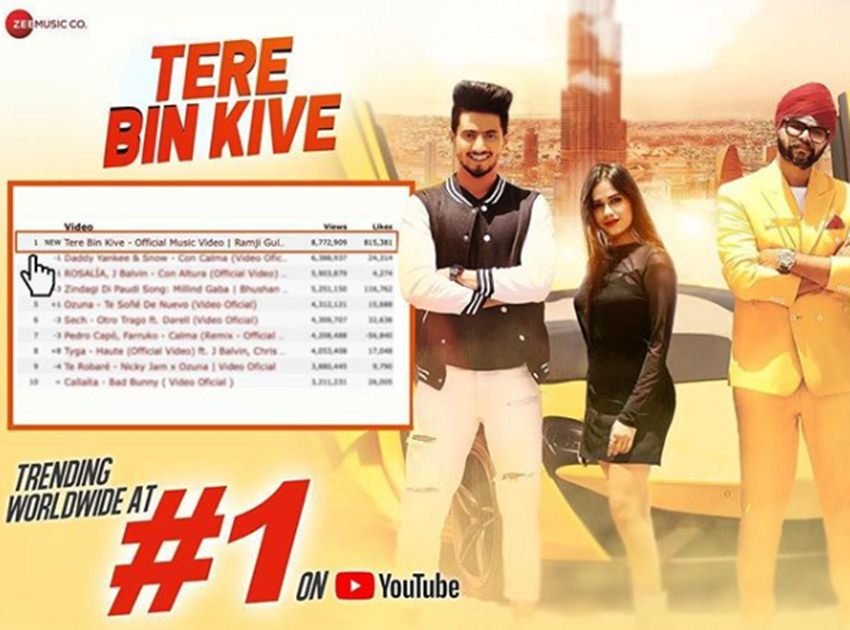 जन्नत जुबैर ने Mr faisu के साथ कुछ दिनों पहले एक वीडियो सॉन्ग में काम किया था। इस वीडियो का नाम था तेरे बिन कीवे।