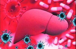 Hepatitis A, Hepatitis, Hepatitis B, Hepatitis C, World Hepatitis Day 2019, World hepatitis day, World Hepatitis Alliance, Viral hepatitis, Hepatitis A, Causes, symptoms, treatment, and prevention, Hepatitis Prevention & Vaccine