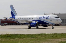 INDIGO