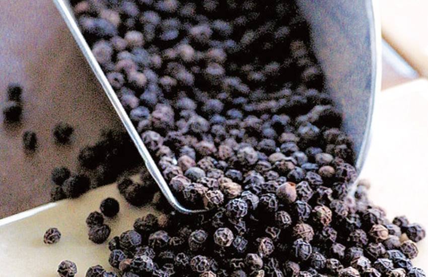 काली मिर्च में कई चमत्कारी गुण मौजूद हैं।