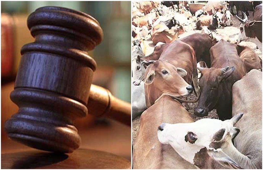 प्रतीकात्मक फोटो (फोटो सोर्स: इंडियन एक्सप्रेस)