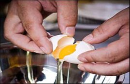 eggs
