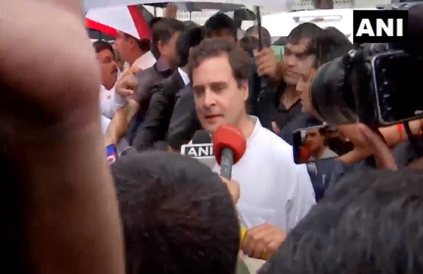 राहुल गांधी (फोटो सोर्स: ANI)