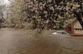 heavy rain