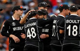 nz