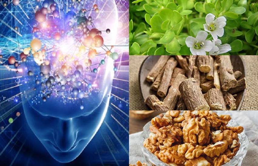 How can I sharpen my memory, याददाश्त बढ़ाएं, Methods for Improving Memory, improve memory, How to improve memories, lifestyle news How can I sharpen my memory, याददाश्त बढ़ाएं, Methods for Improving Memory, improve memory, How to improve memories, lifestyle news