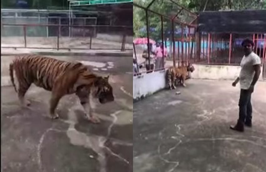 शेर सिंह की शूटिंग के दौरान पवन सिंह। 