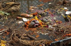 धार्मिक कार्यक्रमों के बाद पूजन सामग्री का कैसे करें निपटारा? मदद करेगी यह कंपनी