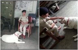 5 लोगों की हत्या में पूरे परिवार को हुई जेल, पालतू डॉगी ‘सुल्तान’ को भी थाने ले गई पुलिस, यह है वजह
