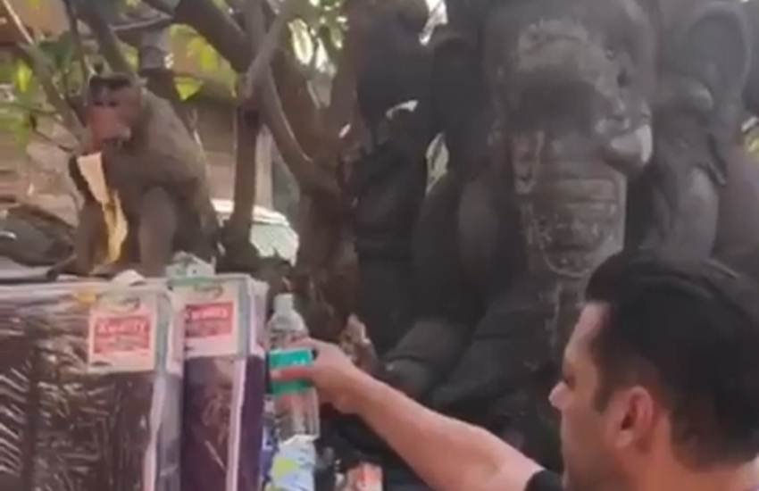 Salman khan, सलमान खान, salman khan film, salman khan video, salman khan with monkey, bharat, dabangg 3, salman khan film bharat