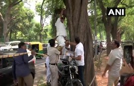 Congress, suicide, Rahul Gandhi, AICC, congress working committee, bjp, sonia gandhi, priyanka gandhi, Congress party office, UPA, NDA, LOk sabha election