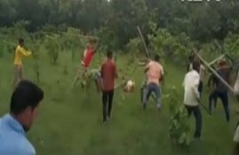 UP, two-minute video, Pilibhit district, adult tigress, beaten to death, villagers, Pilibhit Tiger Reserve, mobile video, Mataina village, background commentary, injured villagers, Local forest officials, FIR, india news, Hindi news, news in Hindi, latest news, today news in Hindi