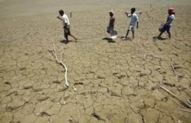 Maharashtra, Maharashtra drought, Beed, Beed drought, water scarcity, Patoda, Busnarwadi, Domari, Disalewadi, IMD, bachelors, water crisis