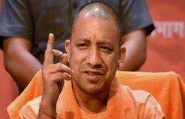 yogi