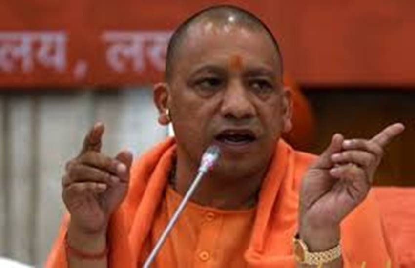yogi