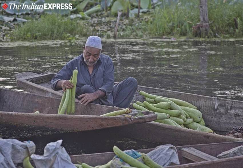 सब्जी विक्रेता श्रीनगर के डल झील के सब्जी मंडी में ग्राहकों का इंतजार करते हुए।