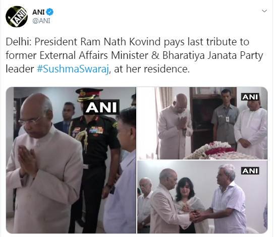 ani image