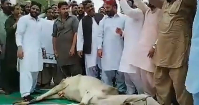 प्रतीकात्मक तस्वीर, फोटो सोर्स- इंडियन एक्सप्रेस