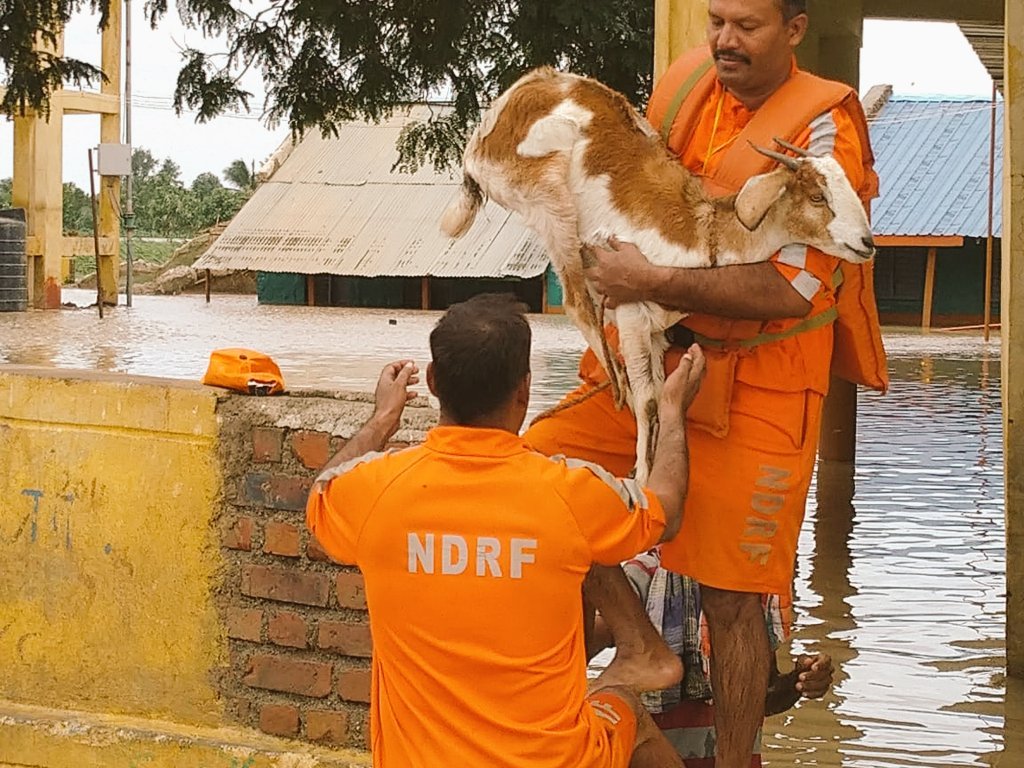karnataka, karnataka news, karnataka floods, karnataka floods live updates, karnataka floods news, karnataka rain, karnataka rains news, karnataka rains latest news, weather, karnataka weather, bangalore news, banaglore weather, bangalore live news, karnataka rain latest news, indian amry, indian airforce, indian navy, CRPF, NDRF