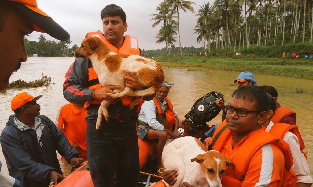 karnataka, karnataka news, karnataka floods, karnataka floods live updates, karnataka floods news, karnataka rain, karnataka rains news, karnataka rains latest news, weather, karnataka weather, bangalore news, banaglore weather, bangalore live news, karnataka rain latest news, indian amry, indian airforce, indian navy, CRPF, NDRF