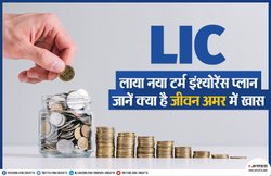 LIC लाया नया टर्म इंश्योरेंस प्लान Jeevan Amar, 80 साल तक मिलेगा कवरेज; औरतों के लिए खास इंटरेस्ट रेट्स