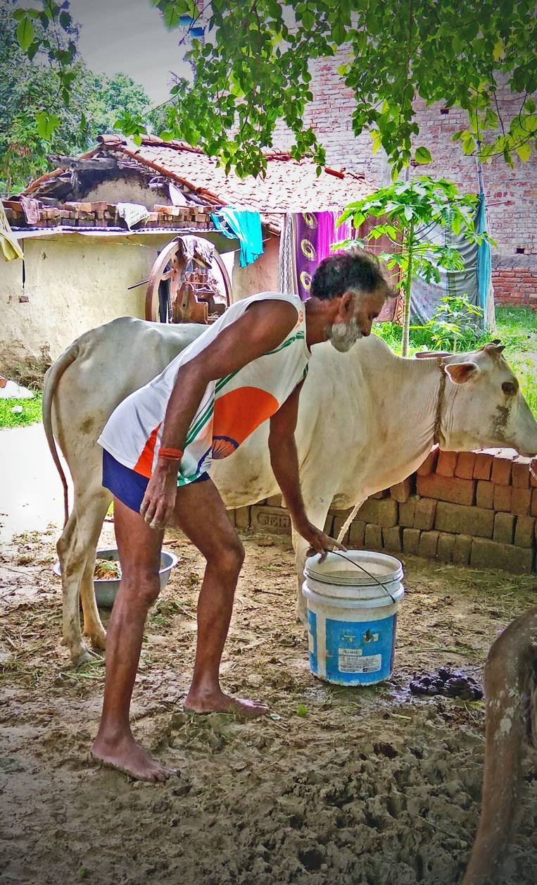 up news, story of athlete mahadev prajapati, who Return to the game at the age of 42, and win many gold medal, insprinng Stor, janstata gallery, jansatta photos, janatta sports gallery, jansatta Special gallery