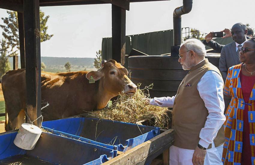 आज की दौड़ भाग की जिंदगी में इंसान कई तरह के तनावों का सामना करता है। कई लोग इस तनाव के आदि हो जाते हैं तो बहुतों पर यही टेंशन भारी भी पड़ता है। लोग स्ट्रेस रिड्यूस करने के लिए अस्पतालों के चक्कर भी लगाते हैं। हालांकि अब तनाव कम करने में गाय आपकी मदद कर सकती है। जी हां। स्ट्रेस रिड्यूस करने के इस तरीके के लिए लोग सिर्फ 5200 रुपए के लगभग खर्च कर रहे हैं। (फोटो सोर्स- पीटीआई) नोट: सभी तस्वीरें प्रतीकात्मक तौर पर इस्तेमाल की गई हैं।