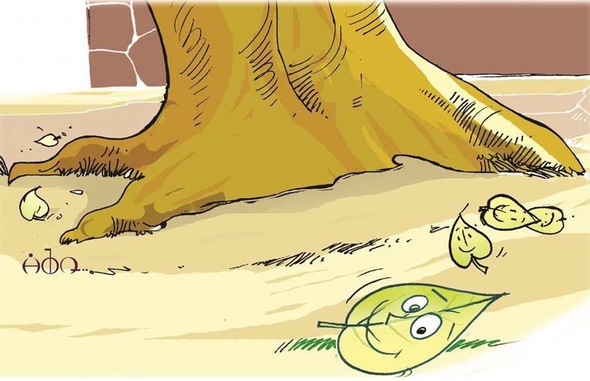 मरता क्या न करता, पत्ते को मानना पड़ा।